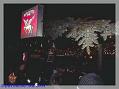 aPIMG0022